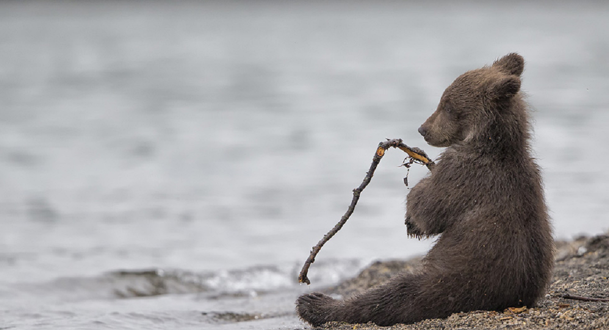 travel-photographer-of-the-year