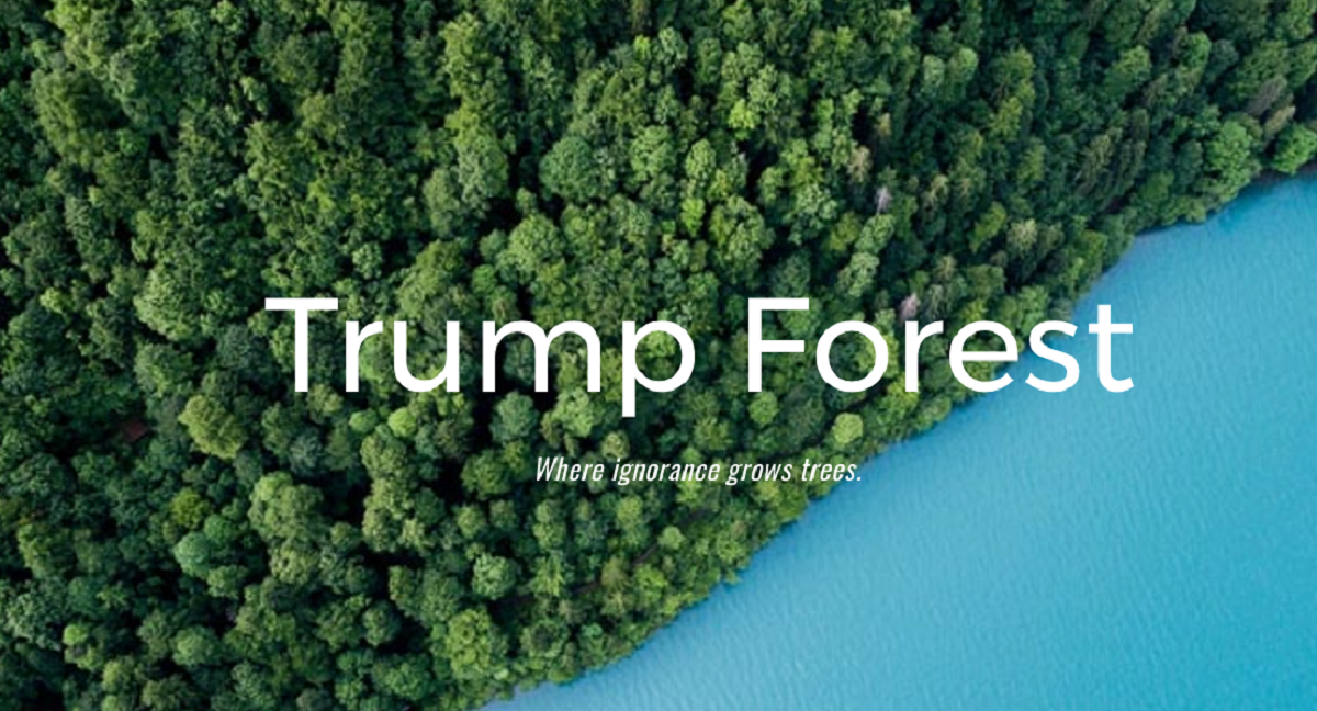 La foresta di Trump dove l'ignoranza fa crescere gli alberi