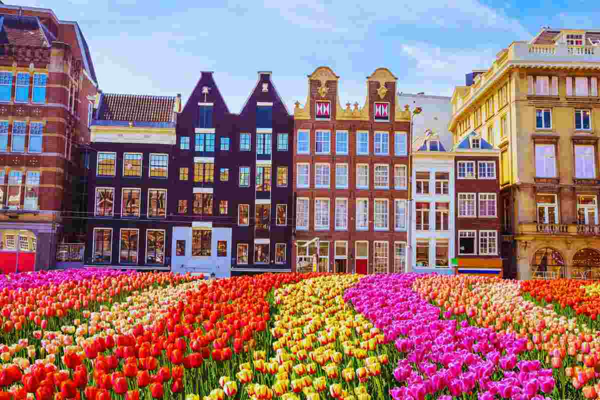 Amsterdam e il festival dei tulipani