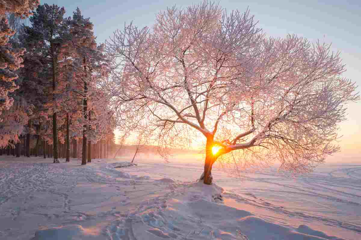 perché in inverno si muore di più
