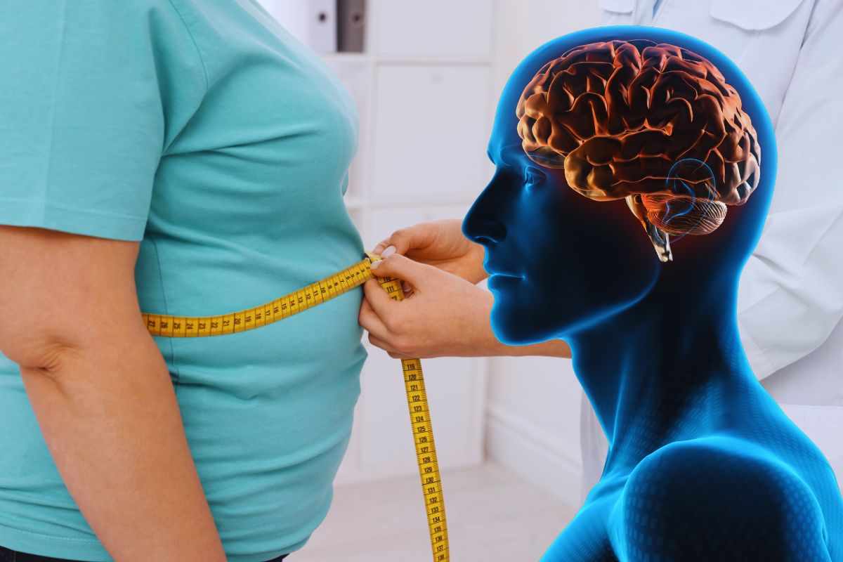 obesità e danni cerebrali