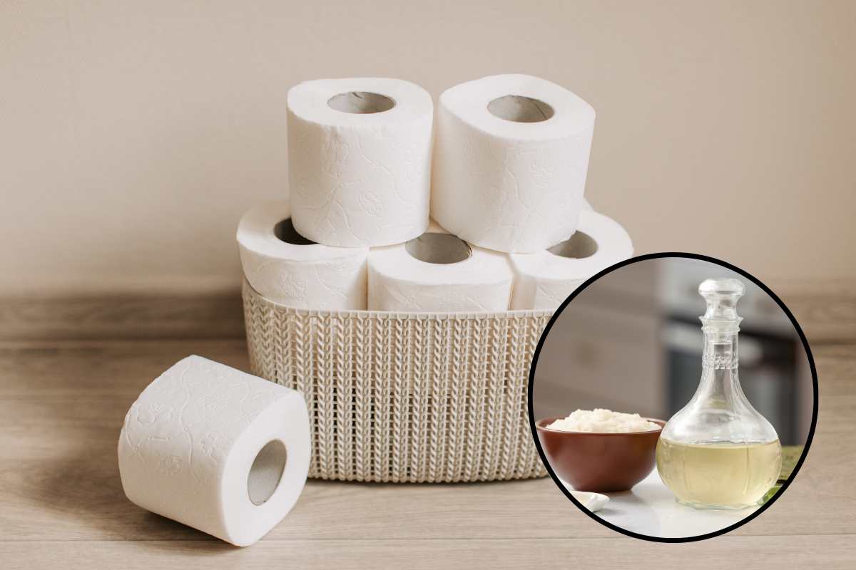 carta igienica e aceto perché usarli insieme