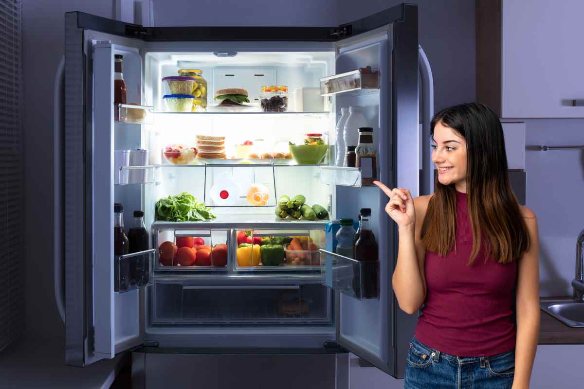 Il segreto dei tecnici: questa semplice regolazione al frigo
