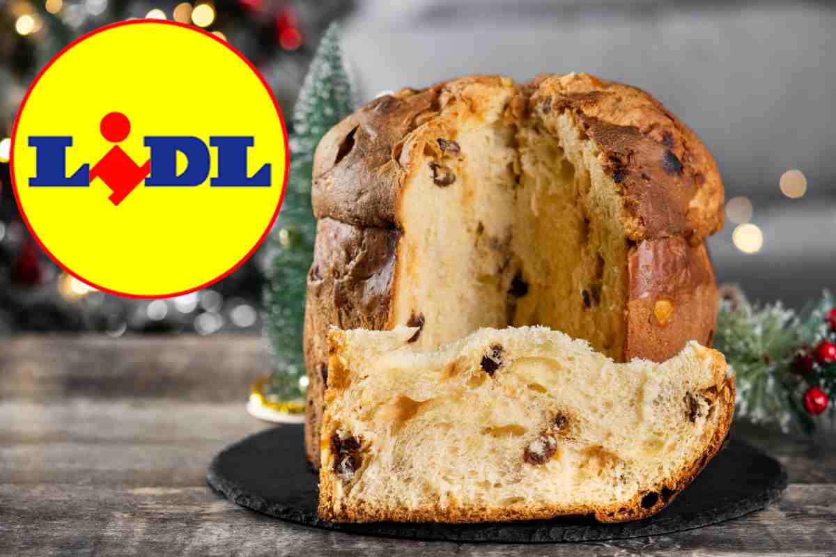 Chi produce questi panettoni LIDL?
