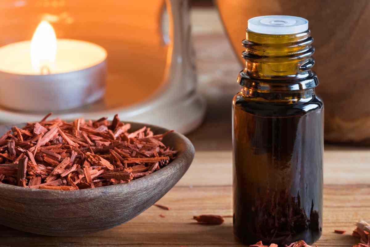 Casa profumata senza deodorante: con questo trucco ti basta il calore del termosifone