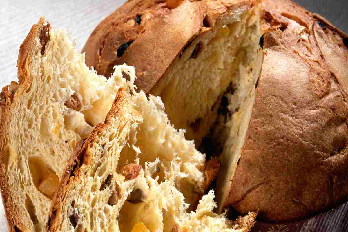 Chi produce questi panettoni LIDL?