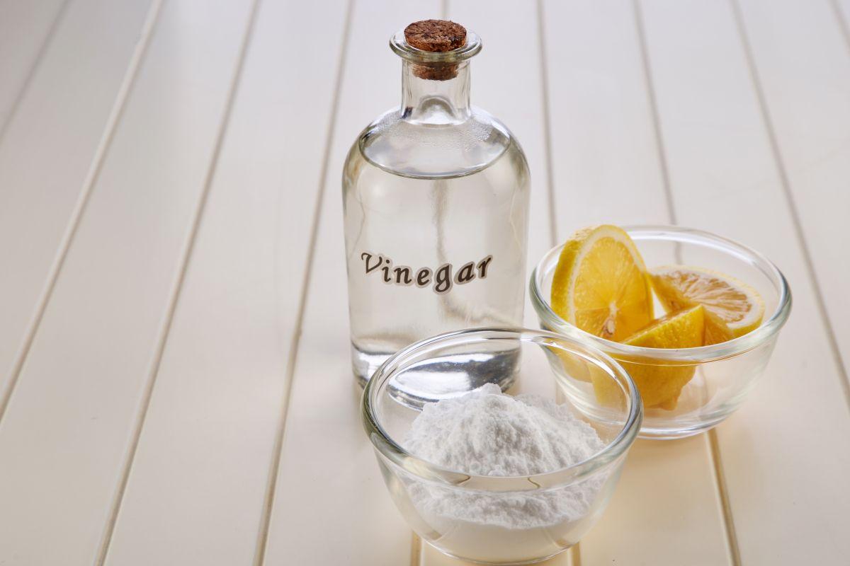 come pulire la pattumiera