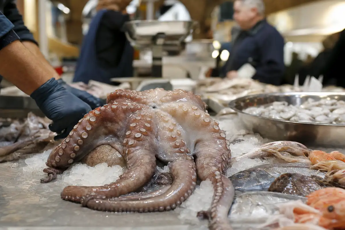 Polpo fresco su banco di ghiaccio in pescheria, con mano guantata del pescivendolo sullo sfondo